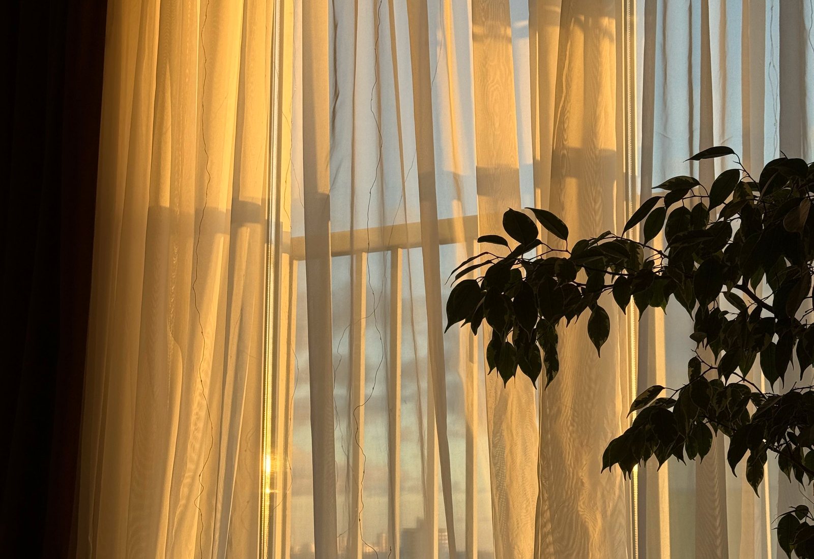 Light through linen